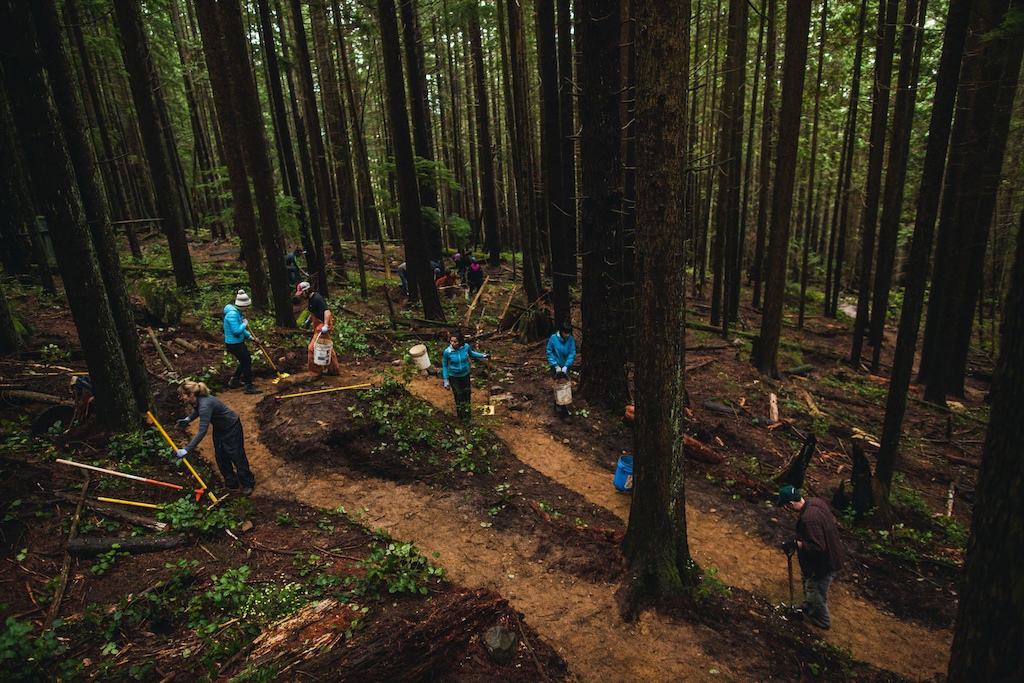 MEC Staff doing some trail work on Mount Fromme on Vancouver's north shore.
