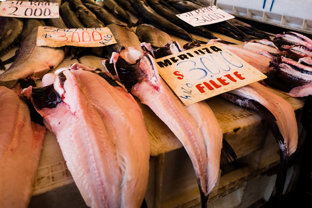The fish market is the heart of the town of Valdivia and it's one of the placest where it's clearest that you are not at home any more.