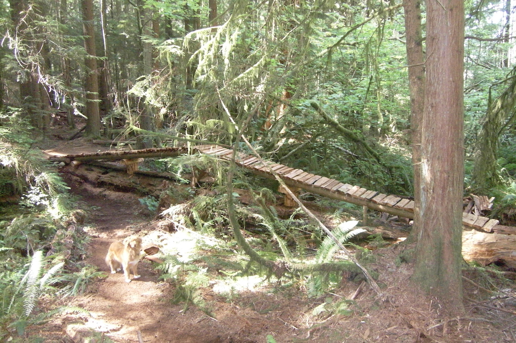 Bridge over Line 2 bog