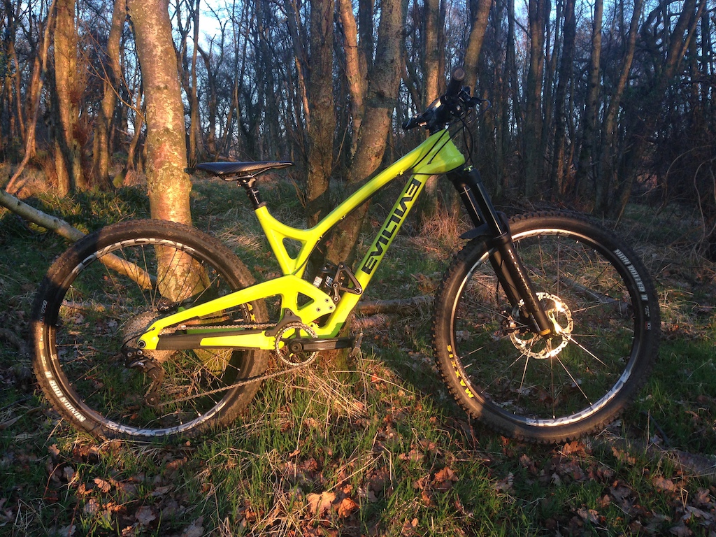 The Evil Insurgent out in some woods a few days ago. feat. epic light.