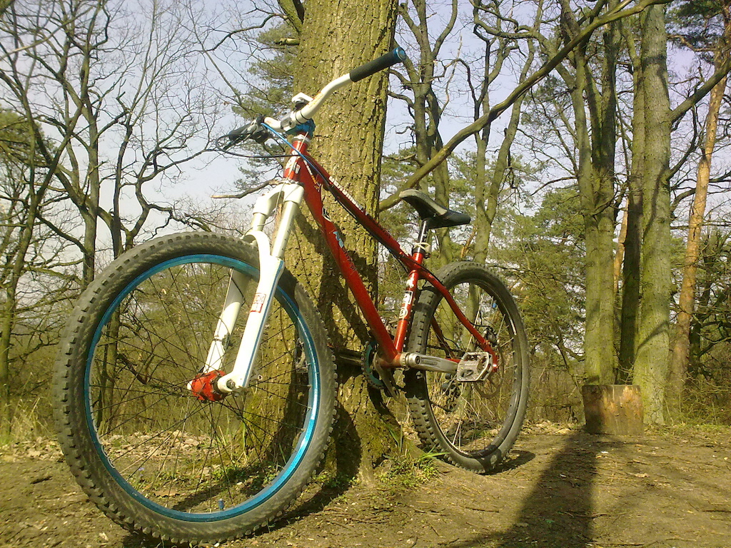 My good old bike on a new place in Poland. Czerwonak/ Puszcza Zielonka