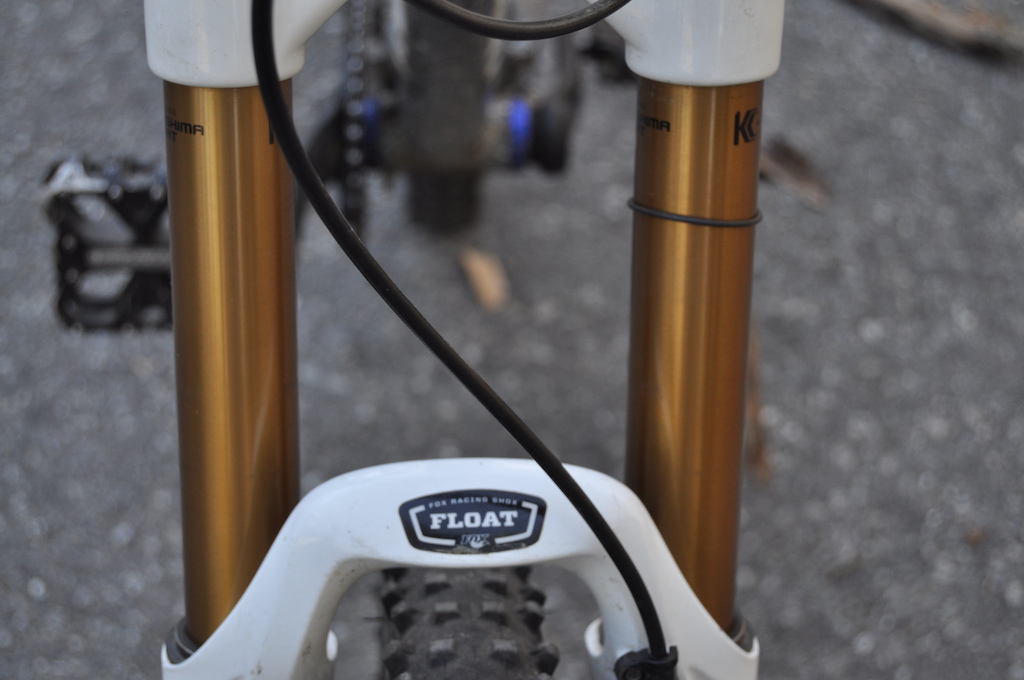 2011 Transition Bottle Rocket- Limited edition paint!