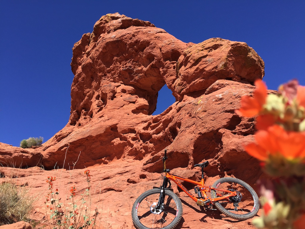 Desert Roses and a mini arch are just some of the beautiful things you will encounter on this trail.