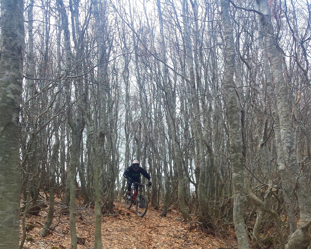 Nothing compares to a morning ride  #trail#ride#dh#mtb — at Pelion Pilio Πήλιο.