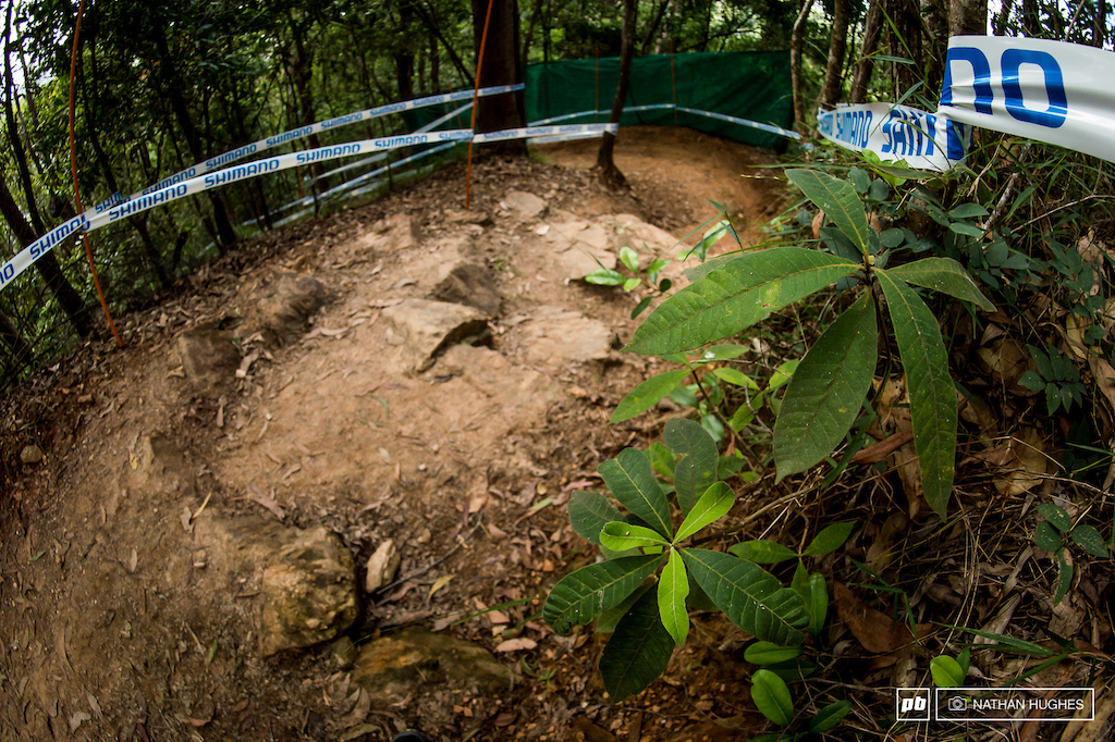 Sweeping berms interspersed with rock steps kick things off high up in the jungle.