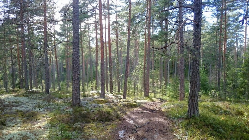 The ending of the first part of Supertrail Nordal.