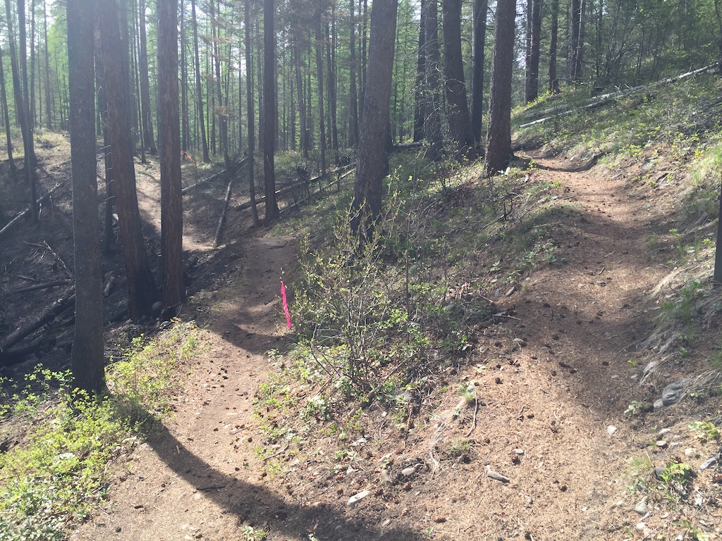 Just a shot of the trails, nice side cut single track.