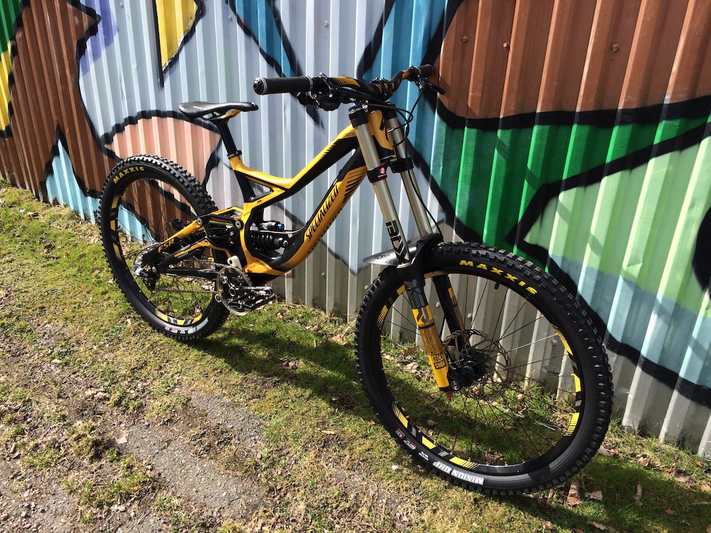 Bumblebee

2011 Specialized Demo 8 one 
European Gold
