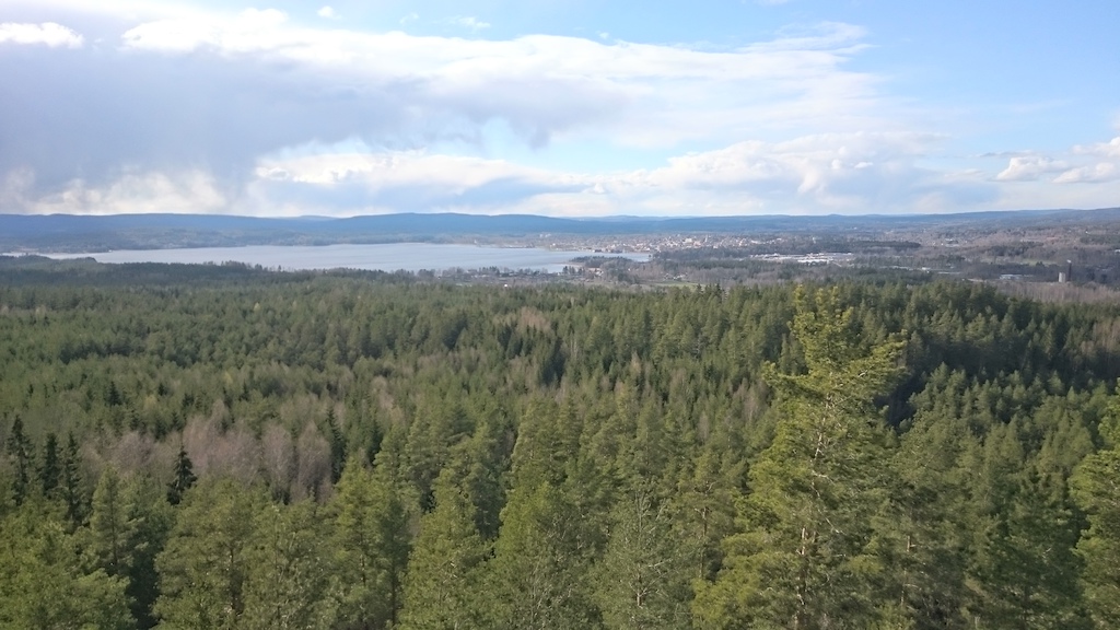 View over Arvika city.