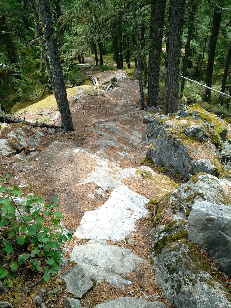near the entrance off of Flank Trail.