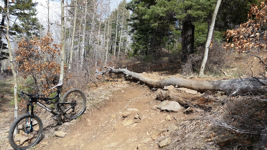 Glad to stop for pics on this brutal ride up SBT.
Fun log drop on the was back down.