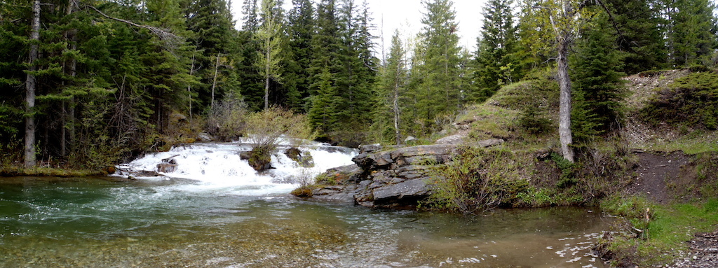 Falls on Gold Creek