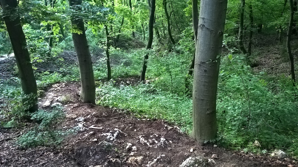 xco track slowly coming to life as well...technical climb section:
