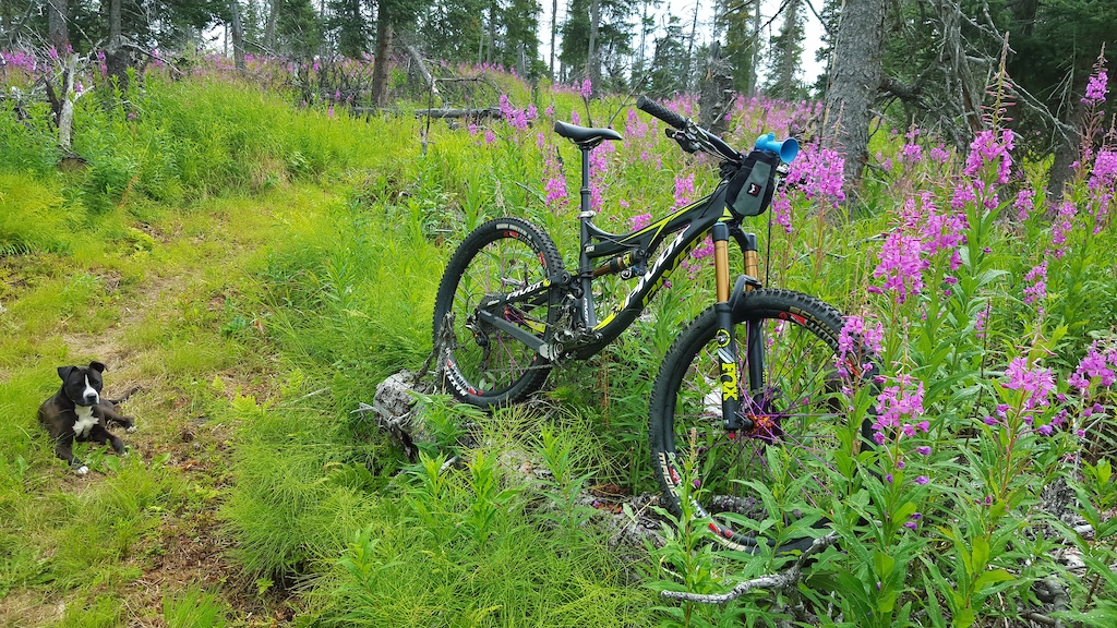 2015 PIVOT MACH 6 XTR