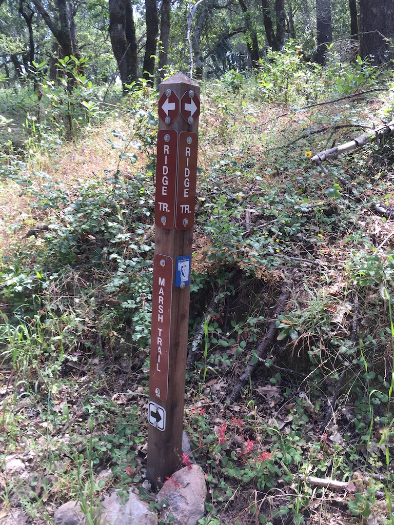 Ridge Trail Sign Post South End.
