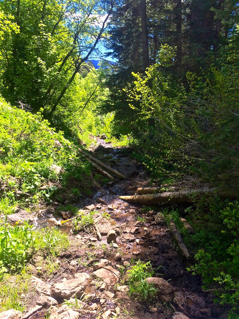 The trail becomes a stream from about halfway up.