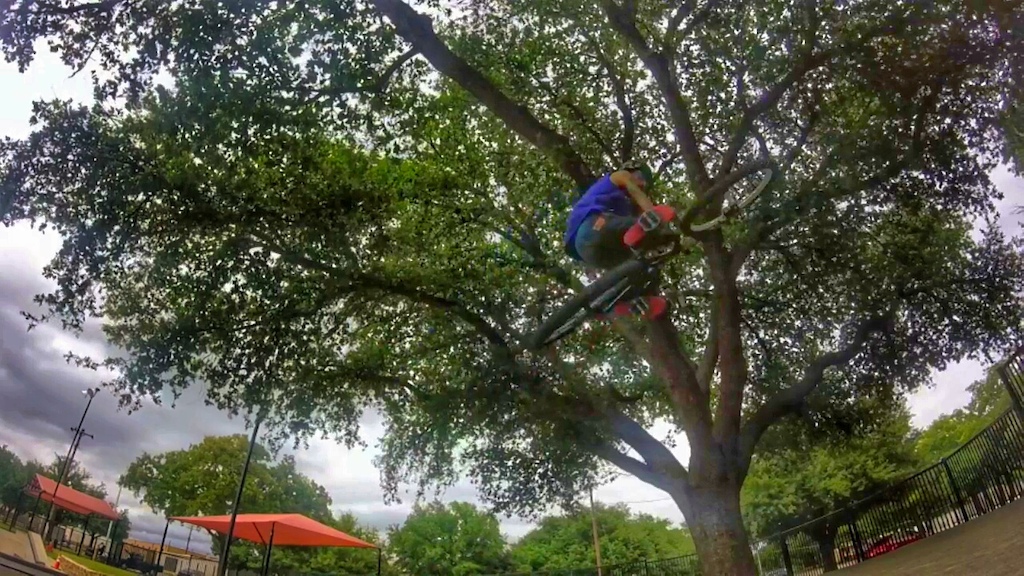 Tabletop to the tree!!!