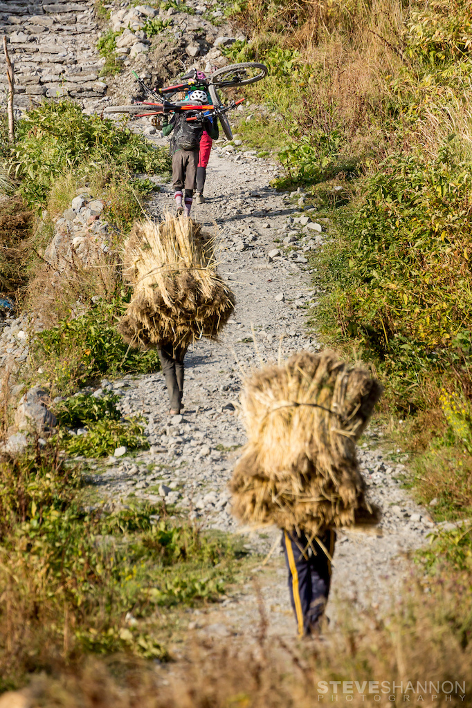 Bikepackers carry their bikes as workers bring in the autumn buckwheat harvest.