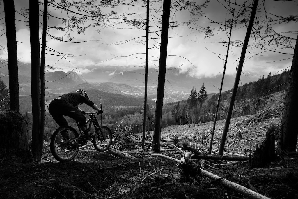 Andrew Baker on a fresh trail through a fresh cutblock.  Rider: