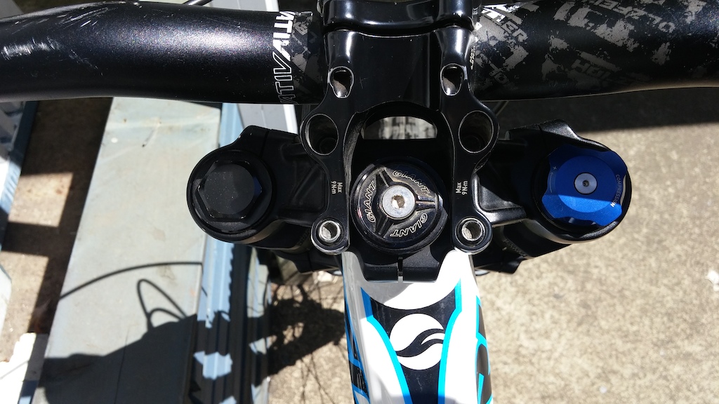 2011 Giant Glory Whistler Edition