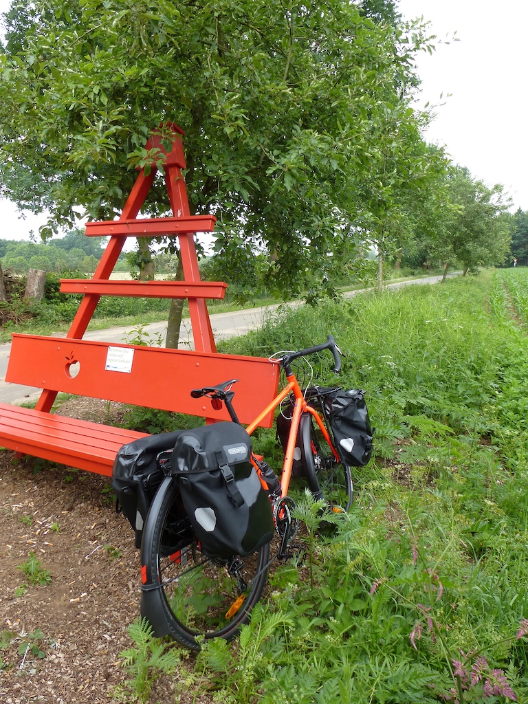 This serves as a ladder for picking apples when they are ripe. They planted thousands of fruit trees for the cyclists.