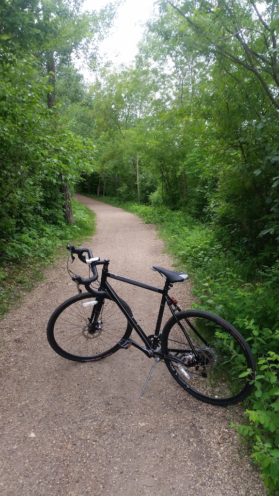 2014 Marin Lombard for sale