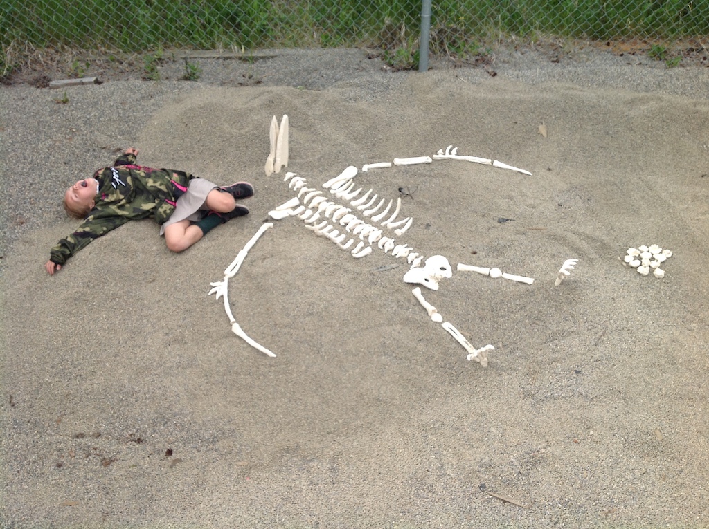 Spring is here and that means a Dino dig. This year we made pteranodons, and my daughter was dying to be in the photo.