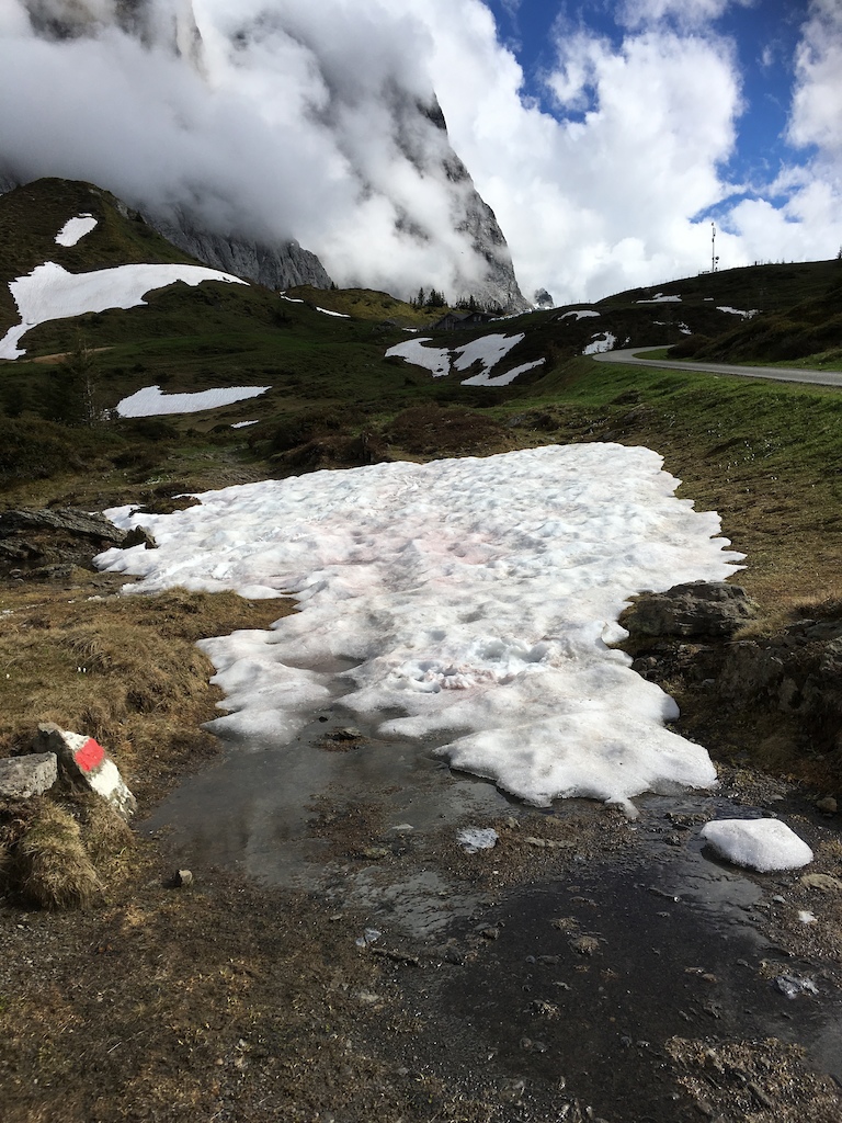 Remaining minor Snowfield (1 out of 3)