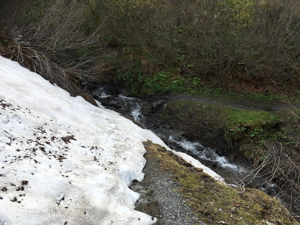 Remaining minor Snowfield (2 out of 3)