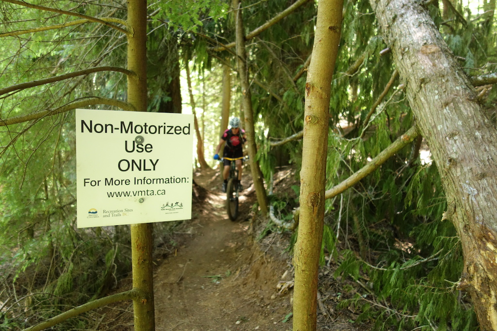 @Sharonb.  Nice tight trees to keep the motorized from riding down the trail