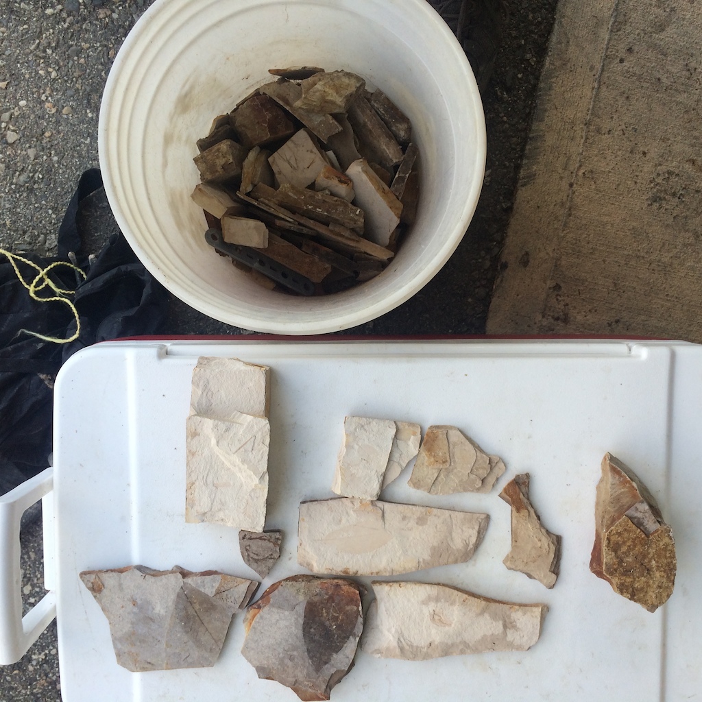 a successful fathers day hunting fossils