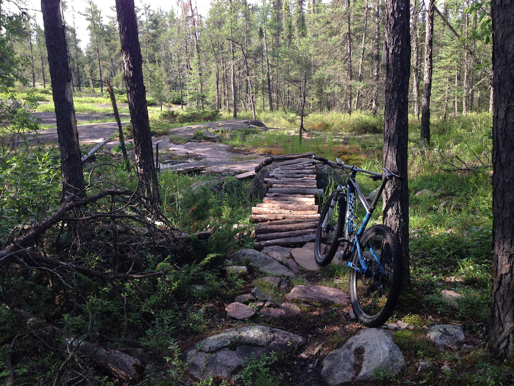Log bridge over rock quickly becomes a favorite feature for most riders :-)