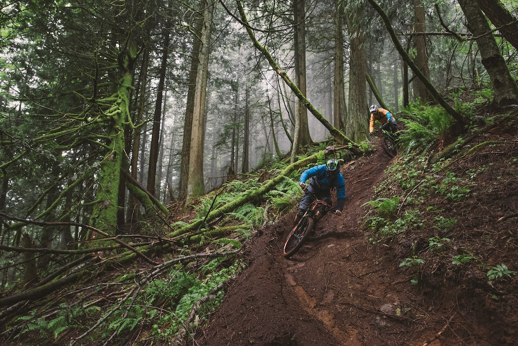 images for Chasing Trail: Vedder Sucks, Tell Your Friends - Video