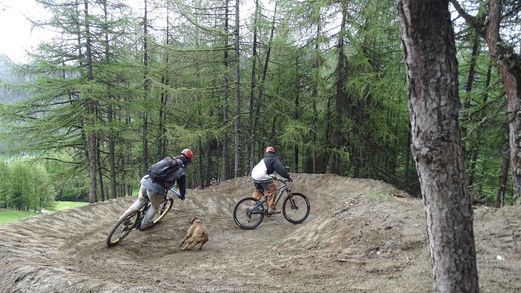 They worked under unexpected weather conditions. They sweated during an entire month of unstoppable rain that brought also some incredible snowfalls. But they made it!
BLUEBERRY LINE - is the new #mtb trail at Carosello3000 Livigno.
Music: Convergent Sound - When the morning comes
Visit www.carosello3000.com
https://www.facebook.com/carosello3000/
https://www.instagram.com/carosello3000/
#theMountainIsFreedom