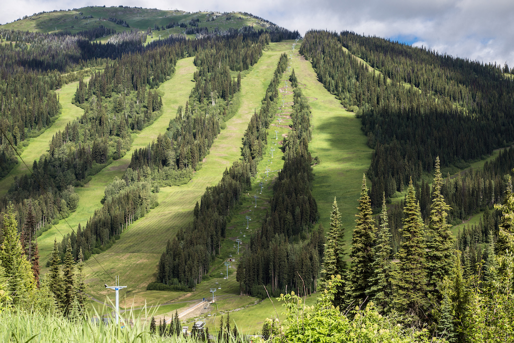 Photo: Sam Egan; Cedar Line Creative