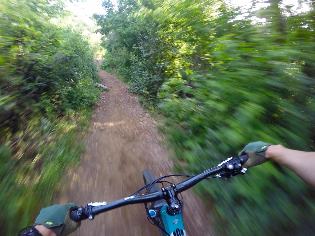 DCIM\101GOPRO\G0052205.