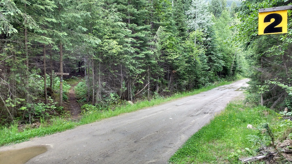 Termination of Meadow Lake trail at Swift Mountain Road.