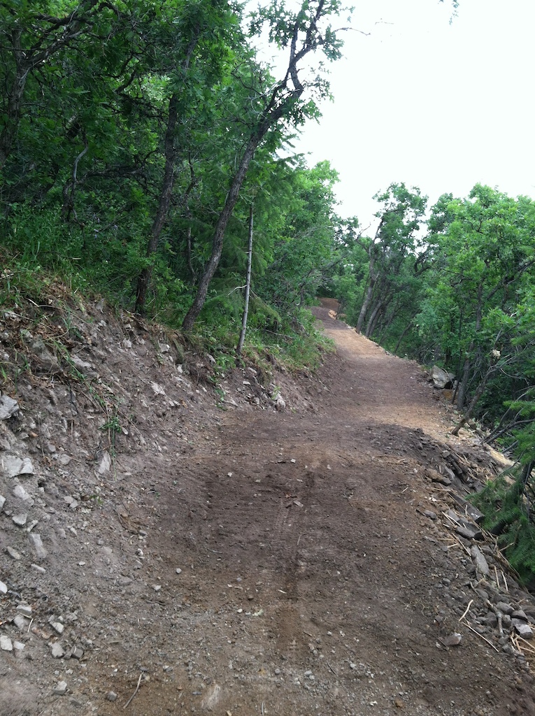 trail pitch shot