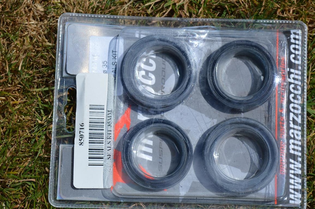 2009 Santa Cruz V-10