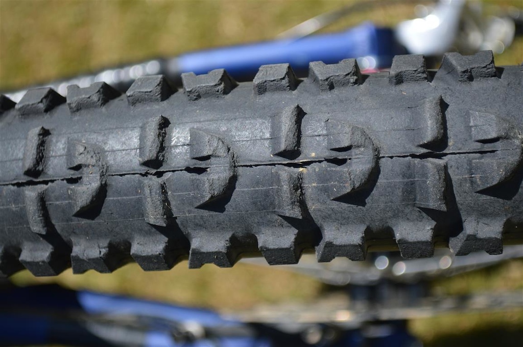2009 Santa Cruz V-10