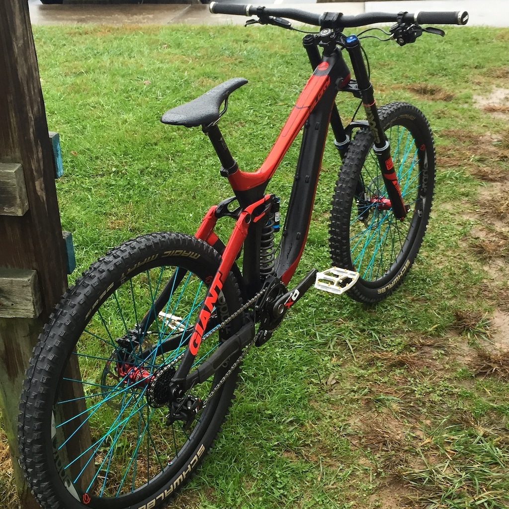 2015 Custom Glory Advanced Medium