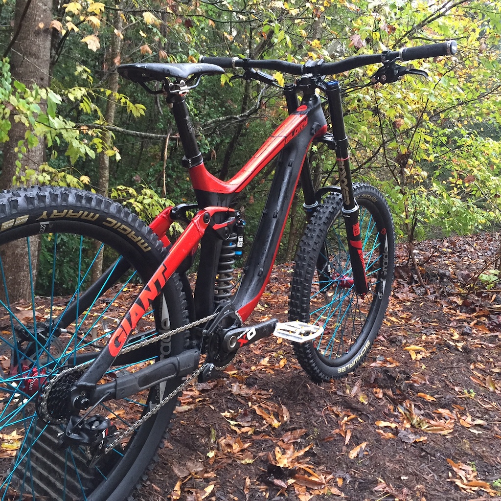 2015 Custom Glory Advanced Medium