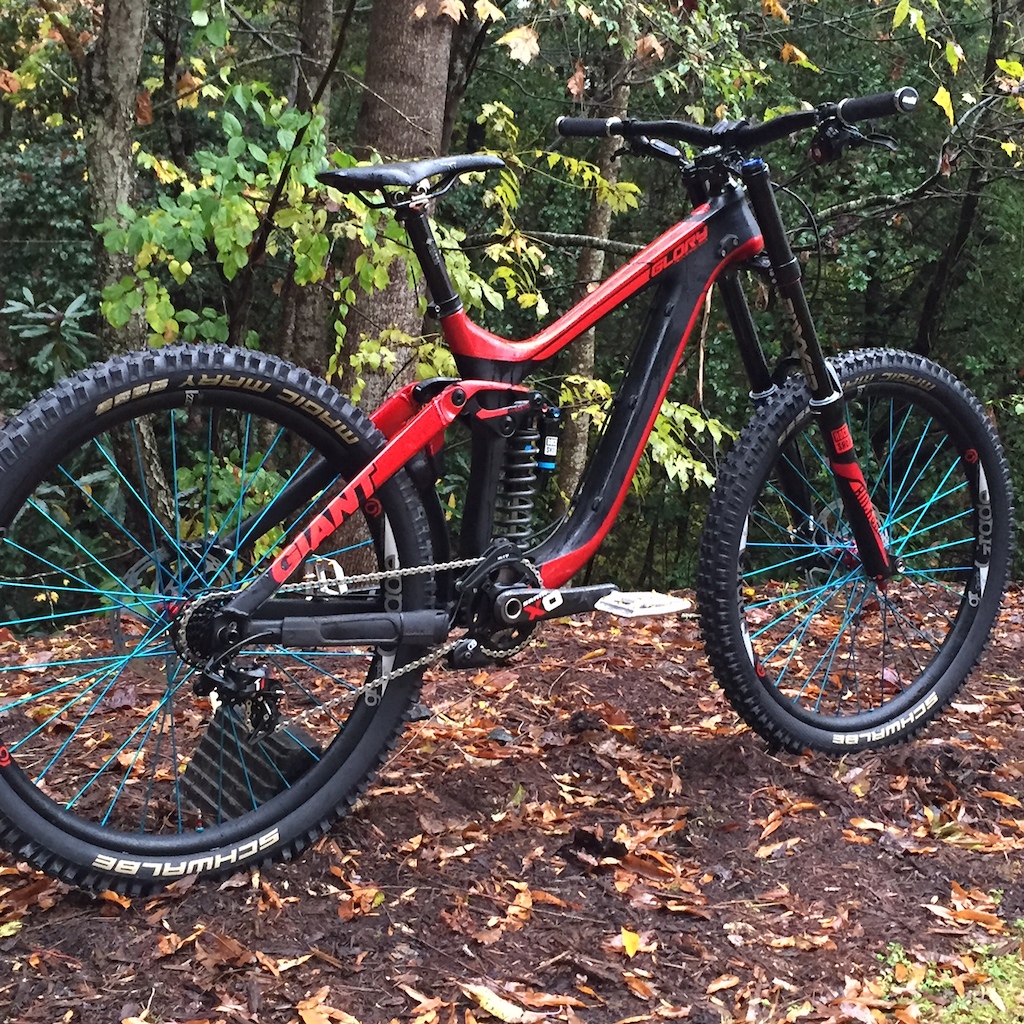 2015 Custom Glory Advanced Medium