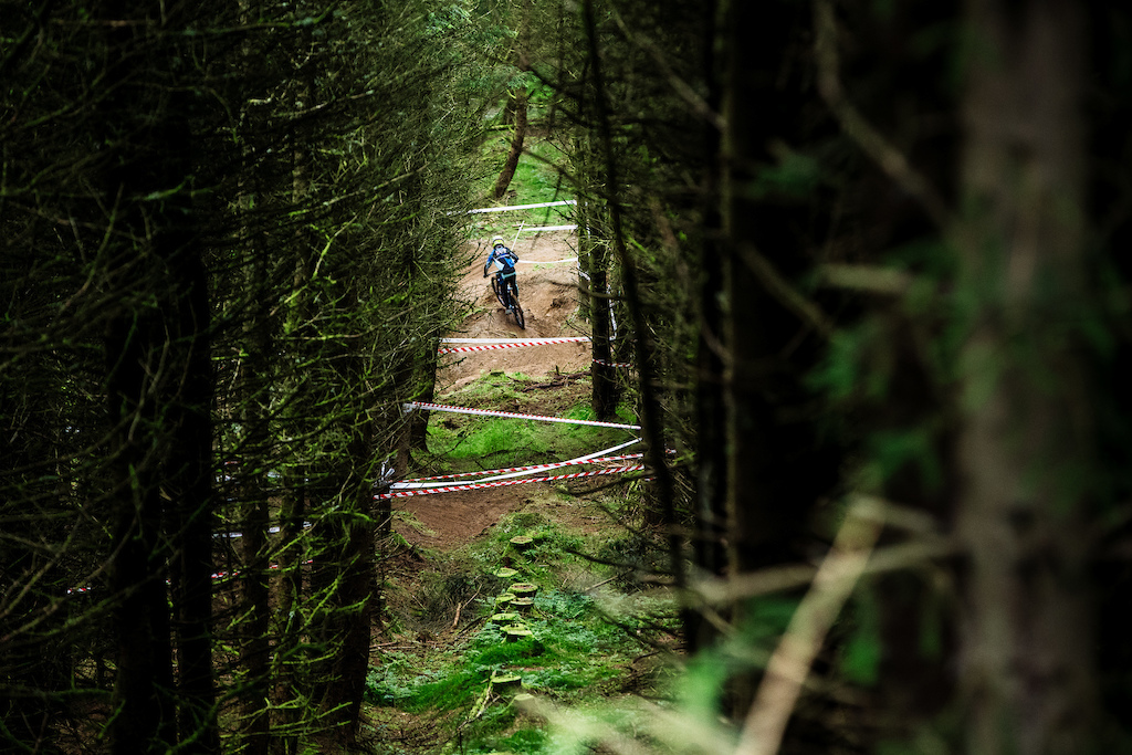 Danny Hart snaking his way through the trees of Revolution.