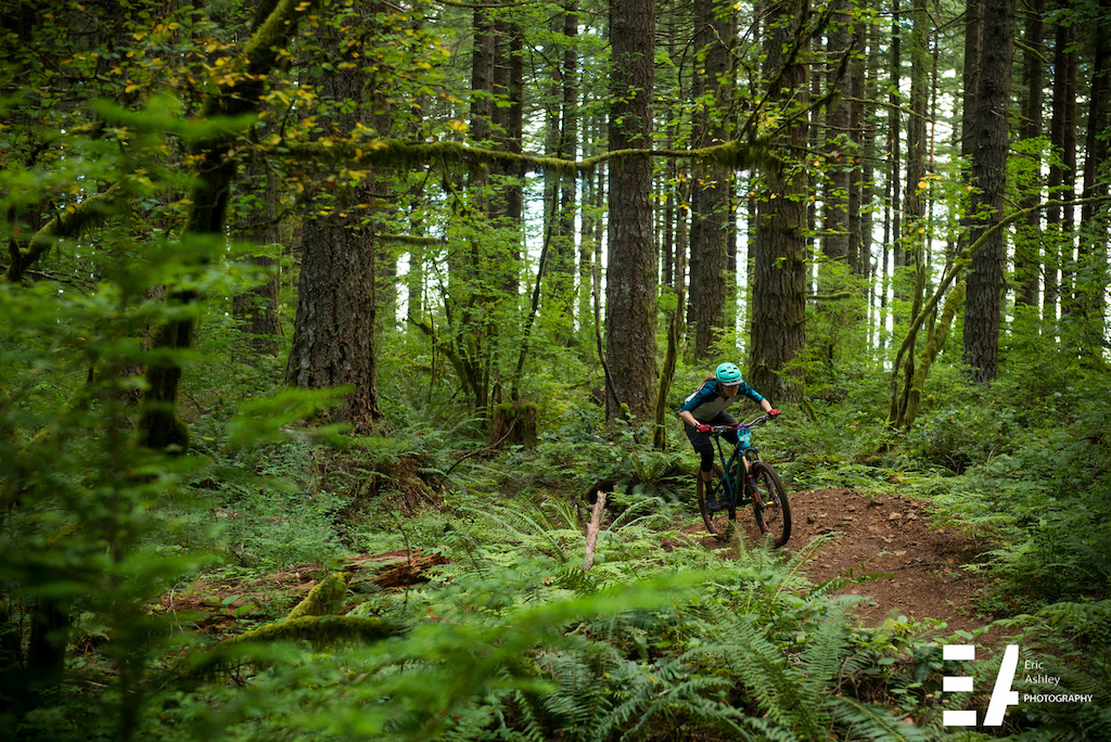 Cascadia Dirt Cup Round Three Yacolt Burn - Race Report