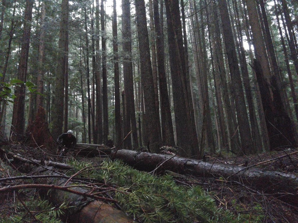 ripping the plus bike in its element in the rocky, rooty, soggy old shore.  
Trail - Boogie Nights - Mount Seymour