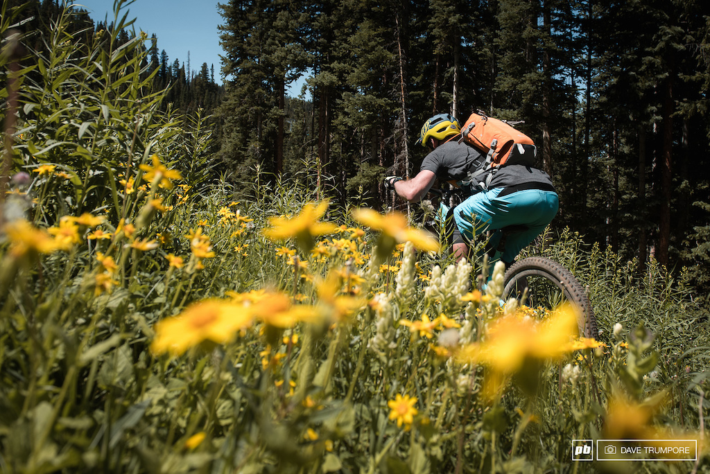 Tucking through the flowers near the top of stage 3.