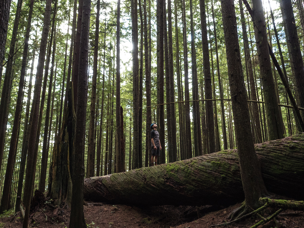 Kerry Werner taking in the amazing PNW forests.