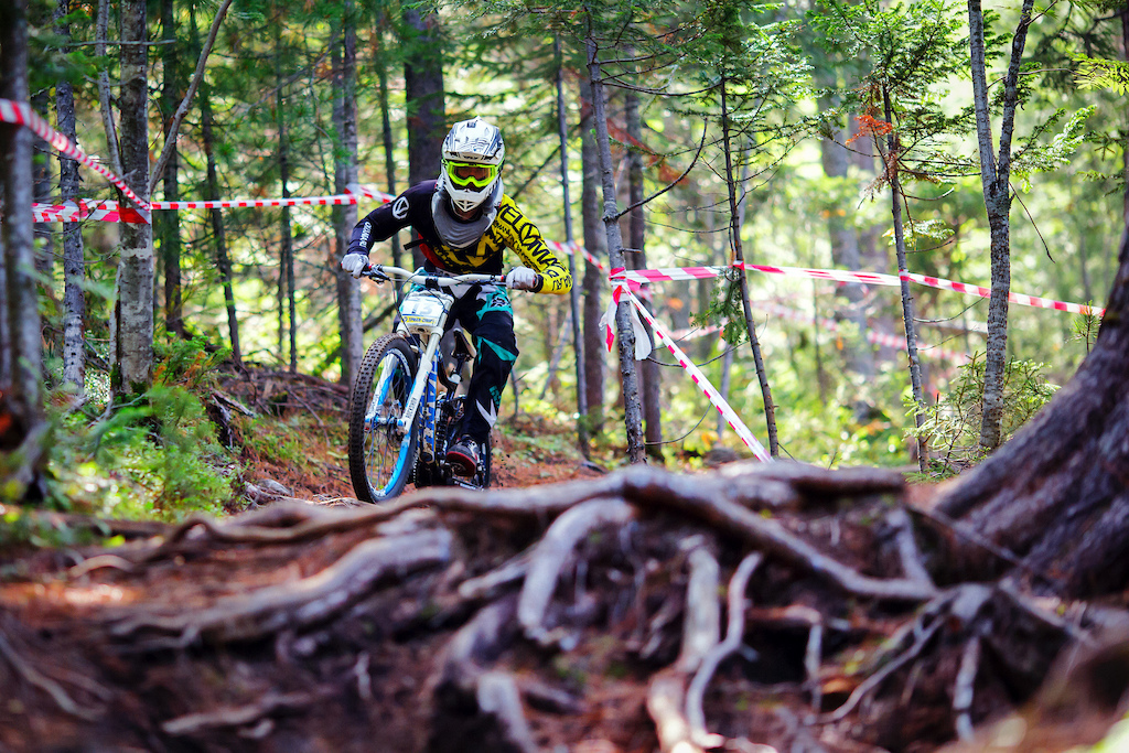 Roots section.
