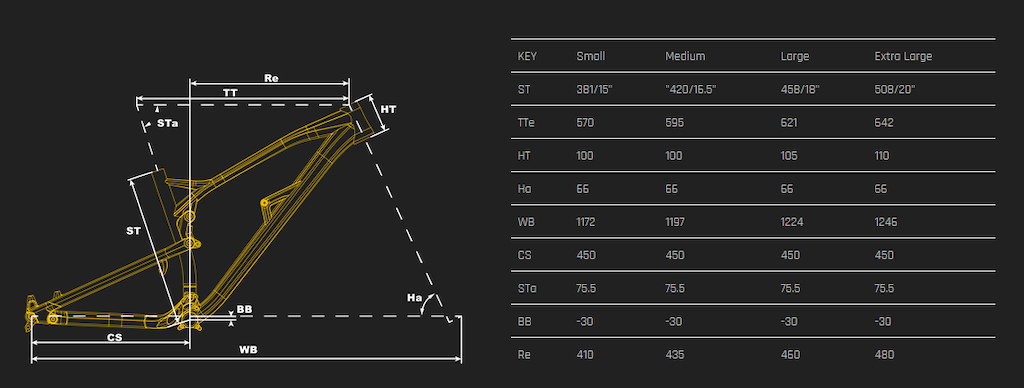 Nukeproof mega store 290 geometry